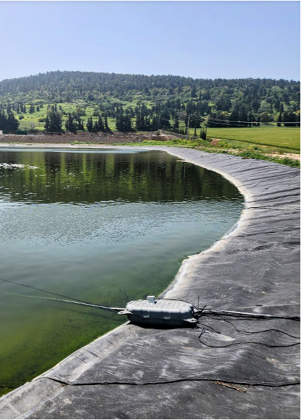 Nanobubble Technolobie: nach 20 Betriebstagen ist das Wasser klar und algenfrei