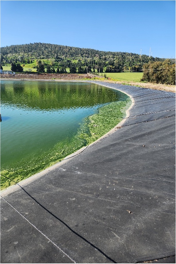 Nanobubble Technolobie: vor der Anwendung